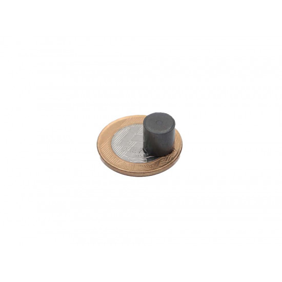 Ímã de Ferrite Ø10 x 10 mm bipolar