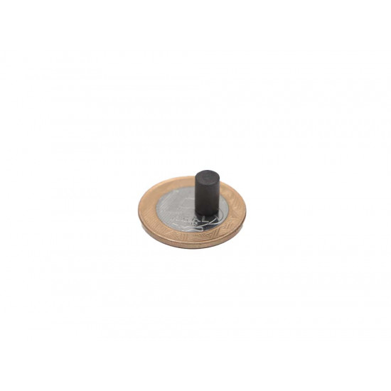 Ímã de Ferrite Ø6 x 10 mm bipolar