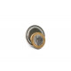 Fixador Magnético Ø36 x 8 mm com pino roscado M6 Fixador Magnético Ø36 x 8 mm com pino roscado M6
